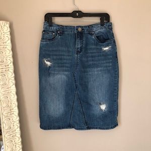 Brand New Denim Skirt